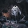 The interior of a cave reveals tree vines cascading down from a sunlit opening at the top
